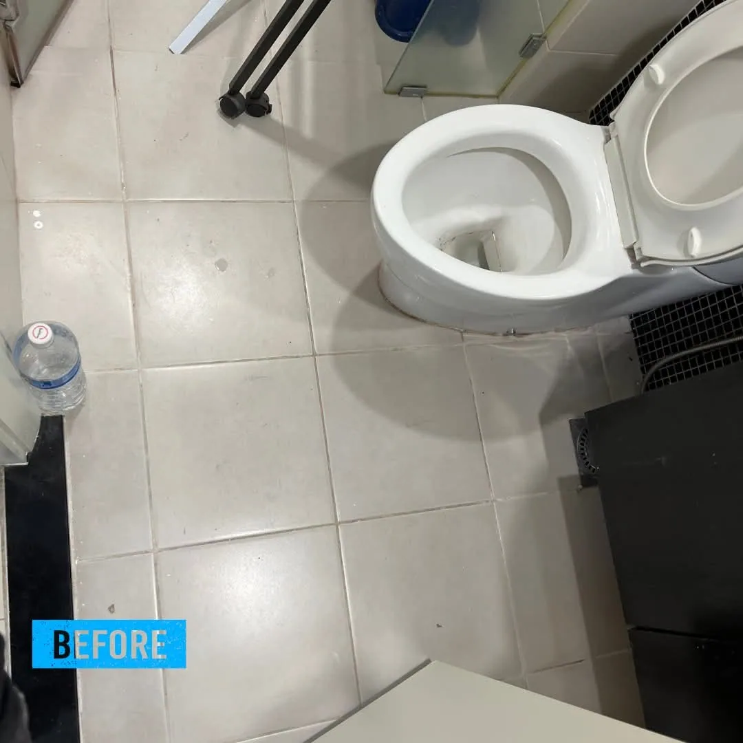 Bathroom toilet area before renovation work