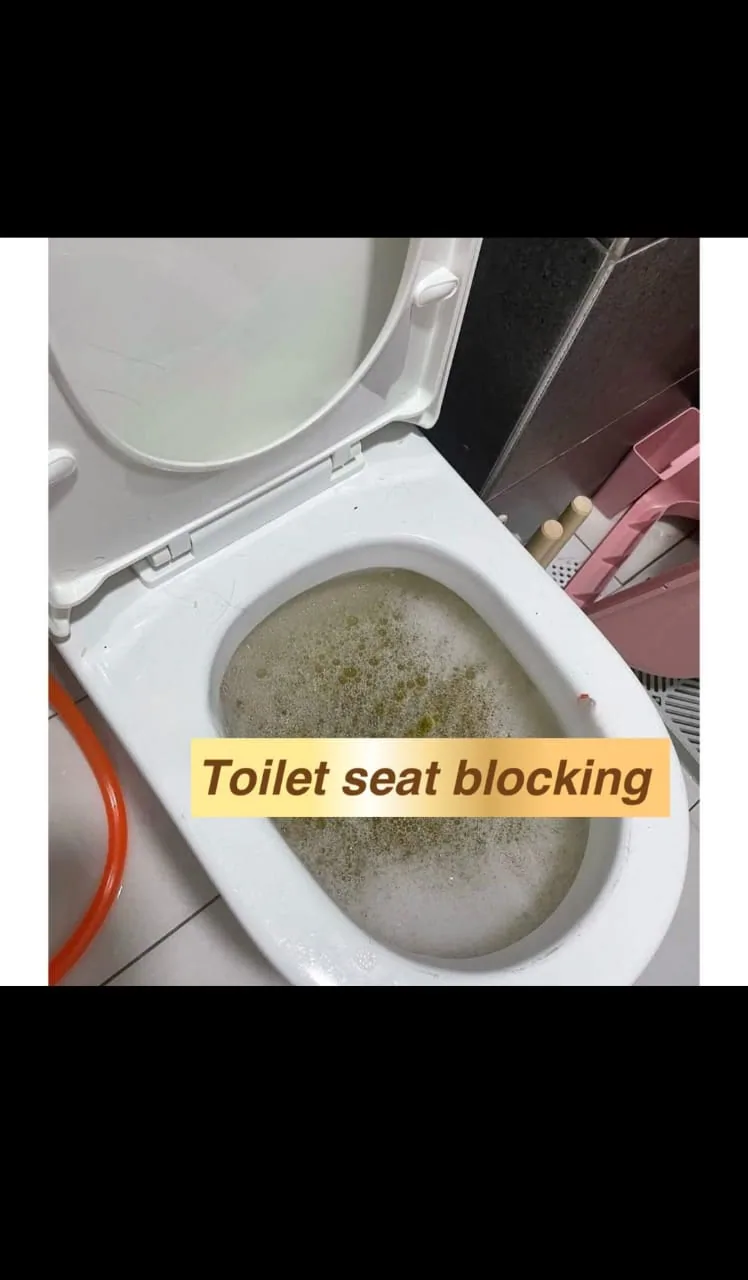 Clogged toilet before professional unblocking