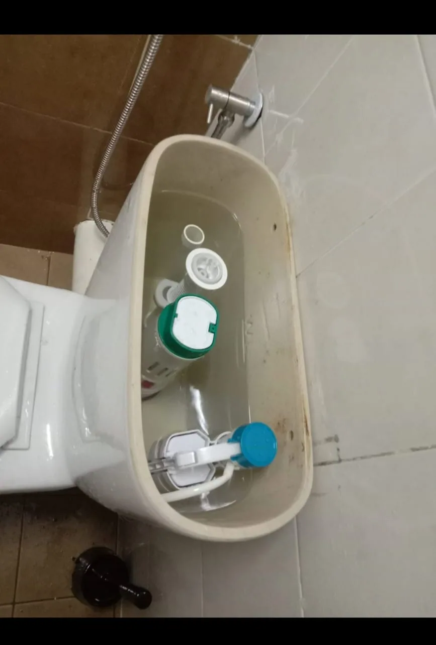 Internal toilet cistern parts being inspected and repaired
