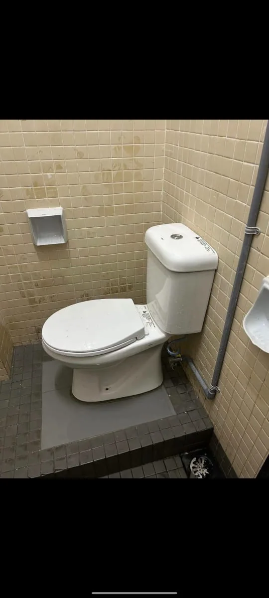 Completed toilet installation in an existing bathroom
