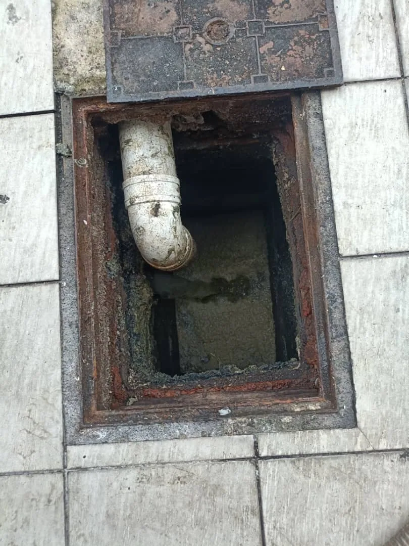 Vertical view into an underground drain chamber